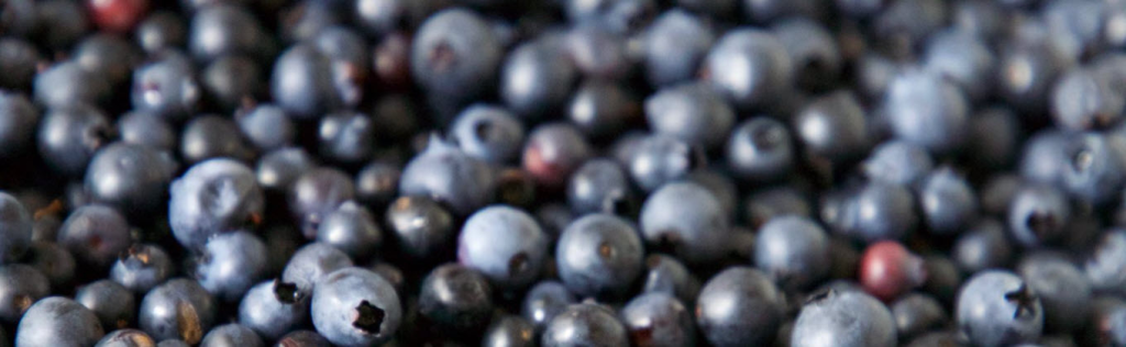 berries